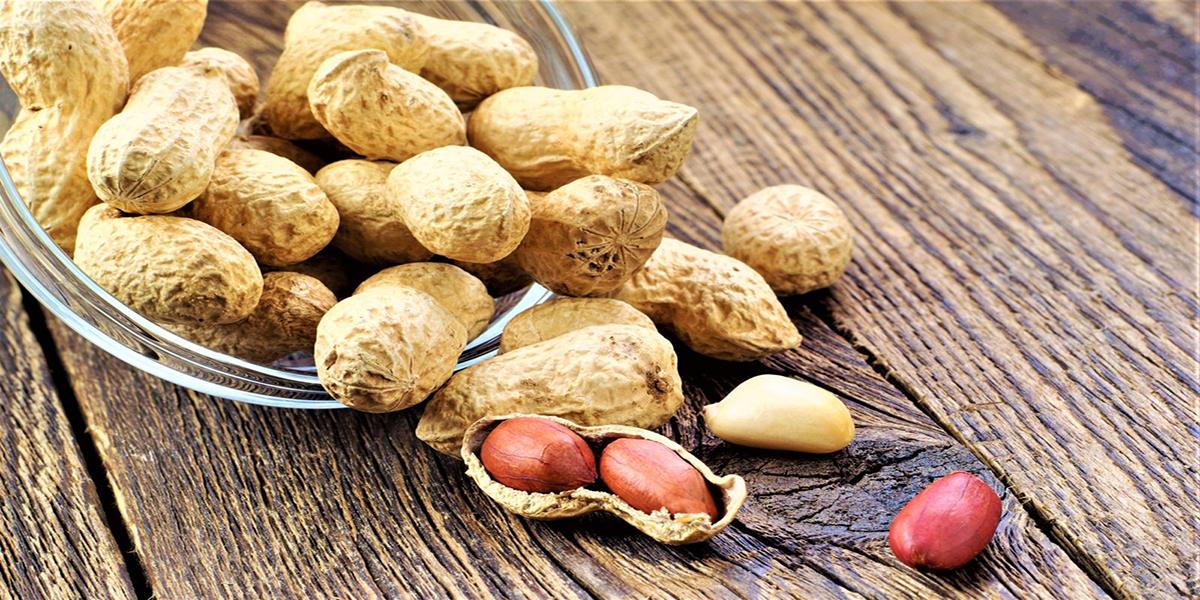 Польза арахиса для здоровья
